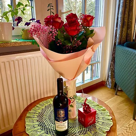 דירה Pod Skocznia *